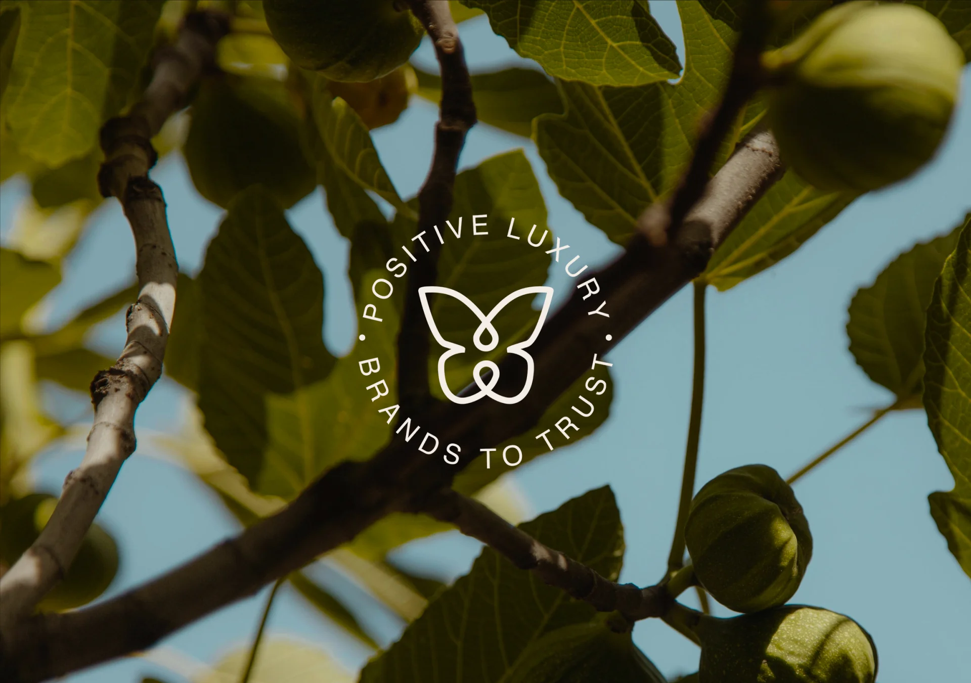 Exquisite London Perfumery Redefined